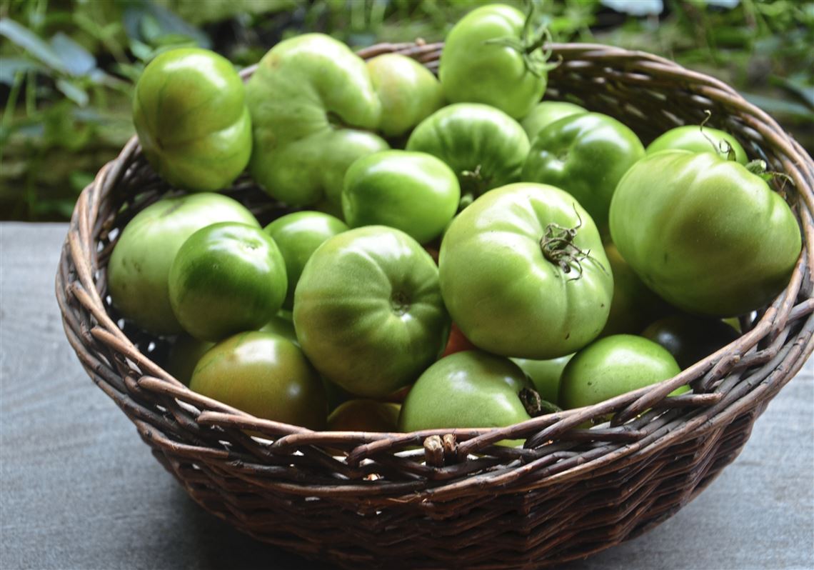 Green Tomatoes in Wicker Basket